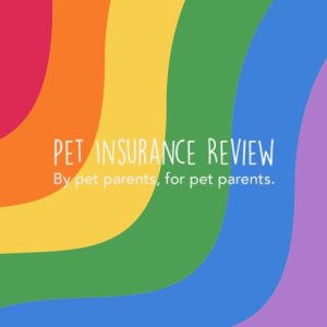 best pet insurance